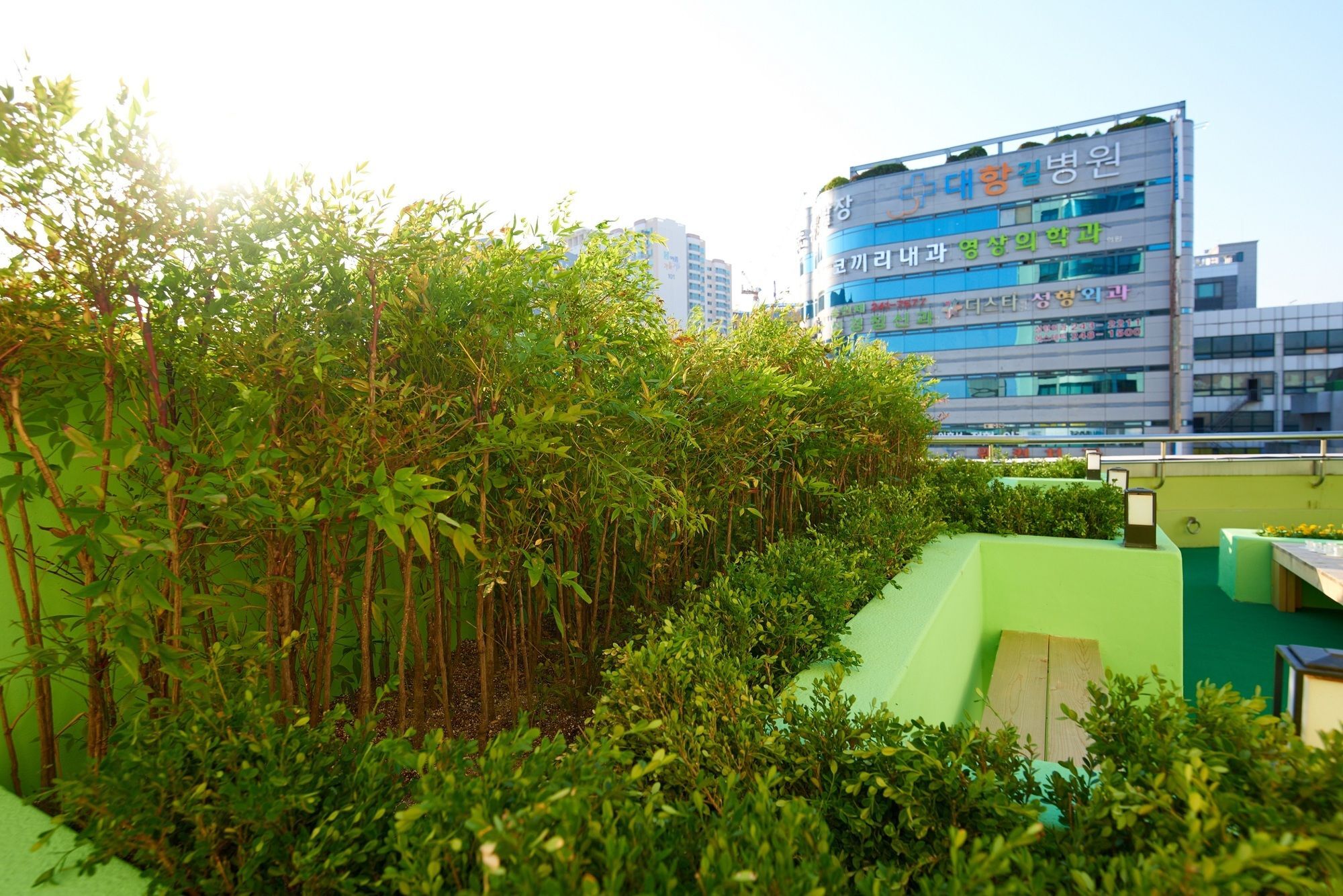 24 Guesthouse Jagalchi Busan Eksteriør bilde