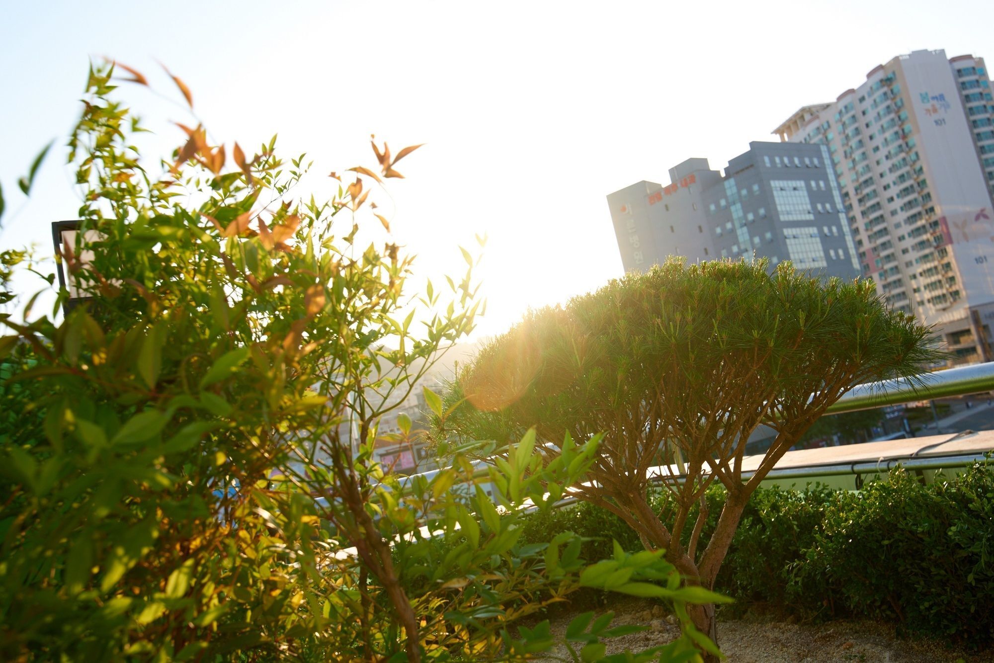 24 Guesthouse Jagalchi Busan Eksteriør bilde